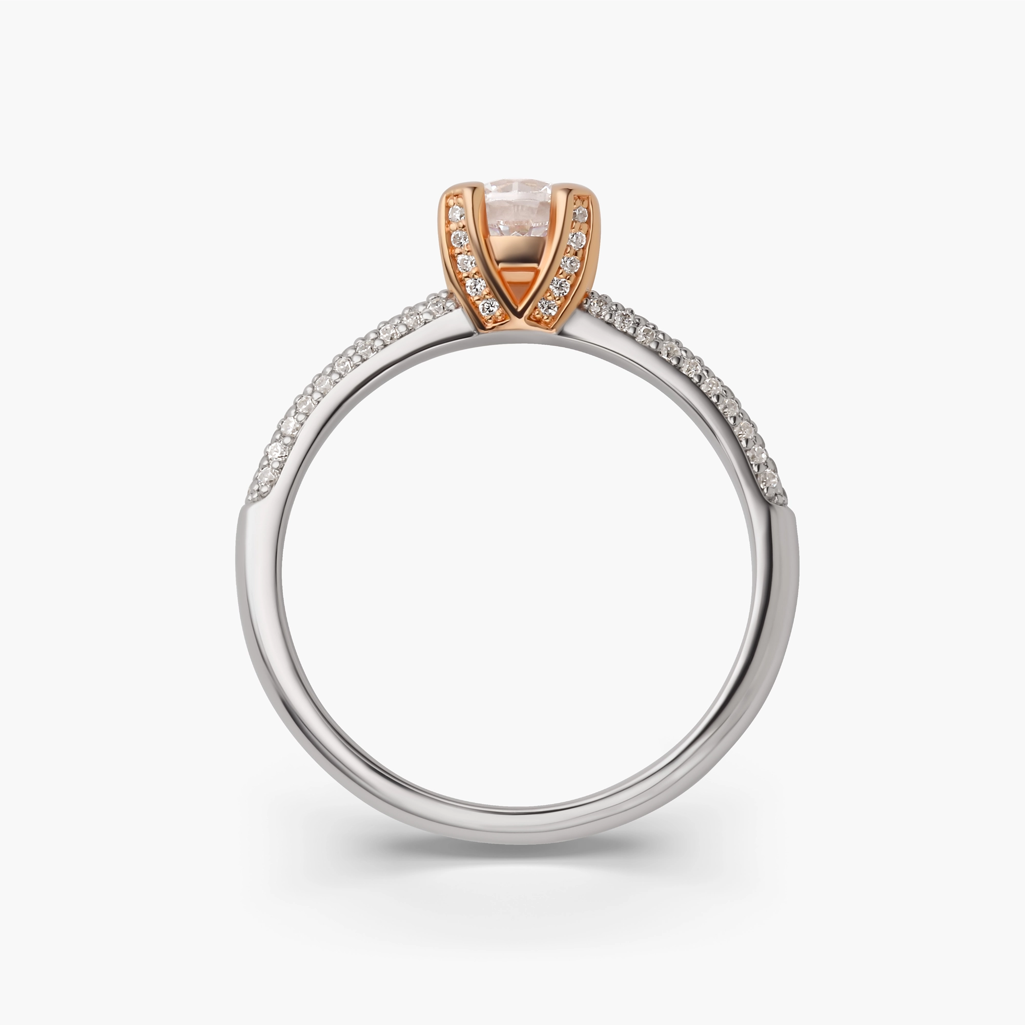 RAUSCHMAYER Jewelry – Neuheiten 2026 RAUSCHMAYER Jewelry - Neuheiten 2026